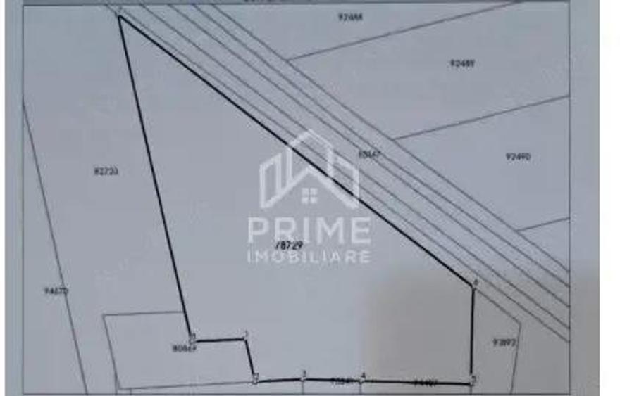 Teren intravilan de vanzare 5.500 mp, Sebe? - 2