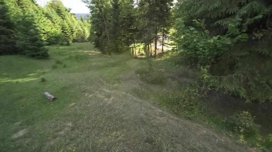 Teren Intravilan de 1.7 Hectare in Colibita - 8