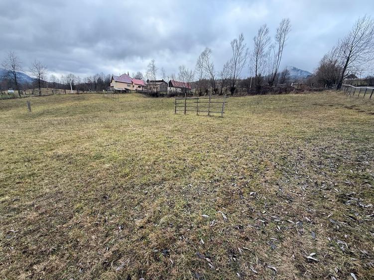 Teren de vanzare - 1