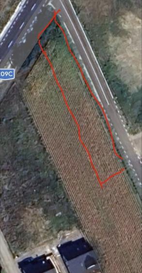 Ocazie! O parcela de 13 ari Moara, la drumul judetean, intravilan - 1