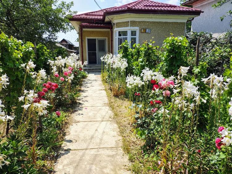 Gospodarie de vanzare Calui jud. Olt