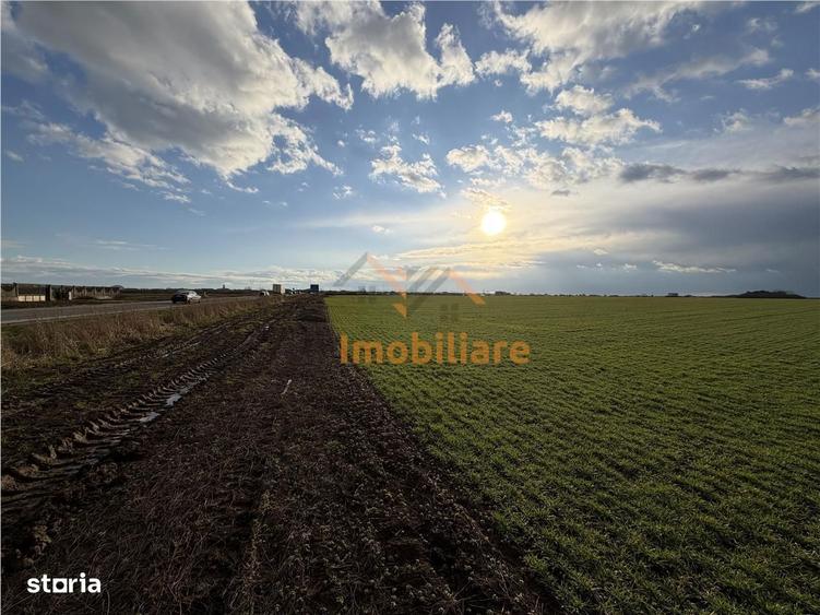 TEREN INTRAVILAN 24457 MP | 80 ML FRONT STRADAL | ORADEA | BIHOR - 1