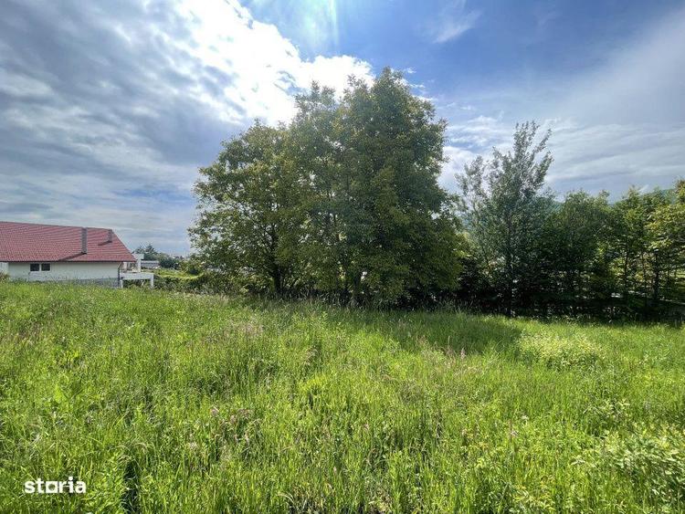 Teren Intravilan 1340mp - Cisnadioara - Sibiu - 6