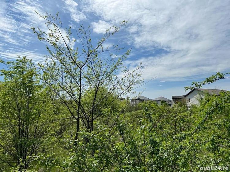 AUTORIZATIE DE CONSTRUIRE -Pantelimon -Lebada- str. Sinaia, teren 24.750 mp - 8