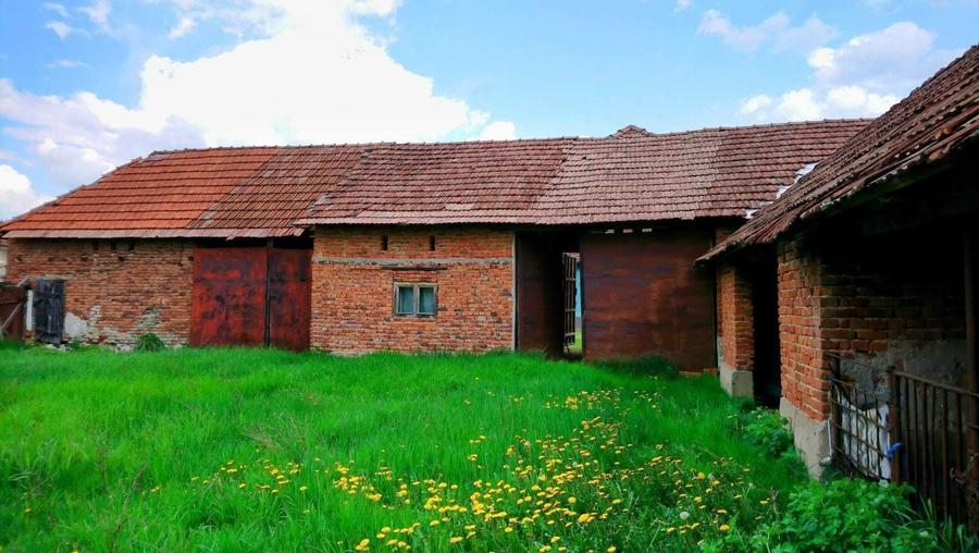 Casa intravilan - curte si gradina - 5