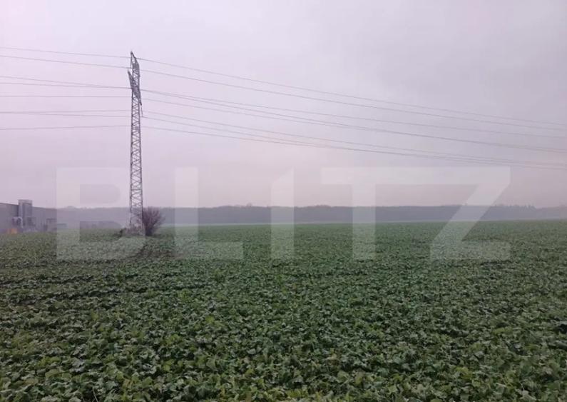 Teren intravilan , 15000mp , Zona Lido Garbea - 5