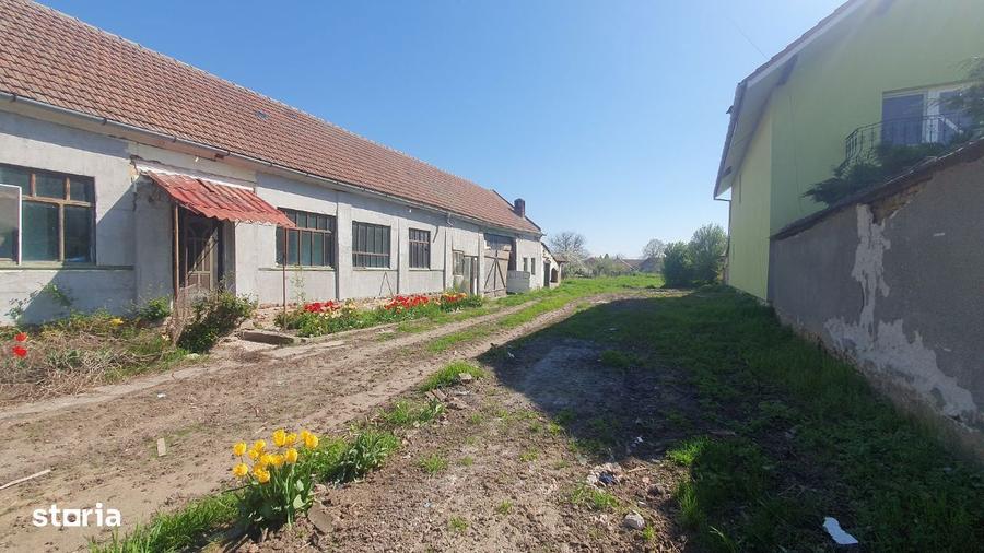 Vand teren cu casa veche in Zadareni - ID : RH-37250-property - 9