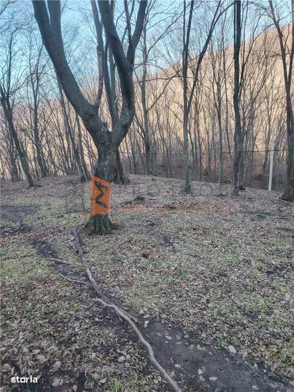 Teren intravilan zona Monteoru - 6