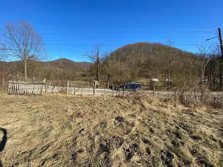 TEREN DE VANZARE -SULTANU,VISINESTI - 1