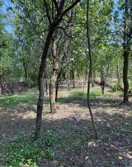 Casa cu teren 1000 m Drajna