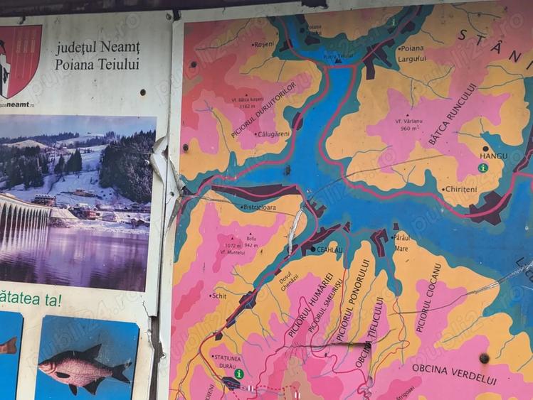 Teren vanzare negociabil - 7