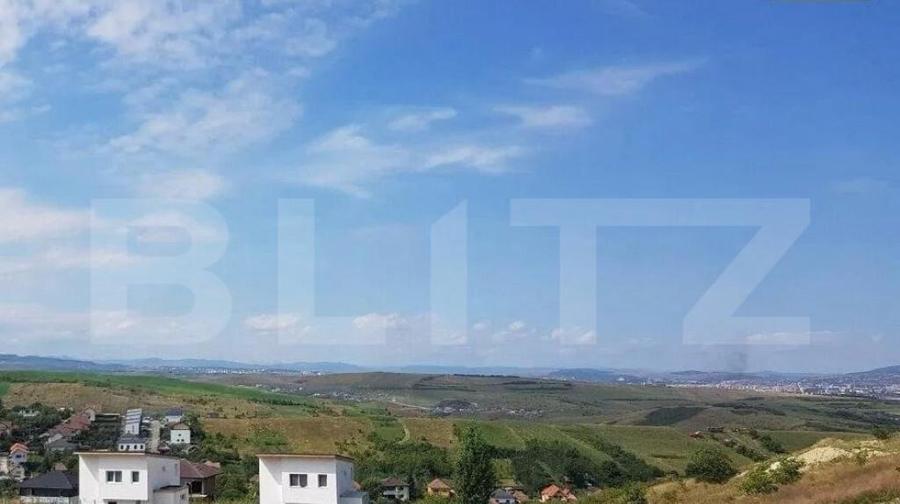 Teren in suprafata de 7290 mp , Dezmir - 1