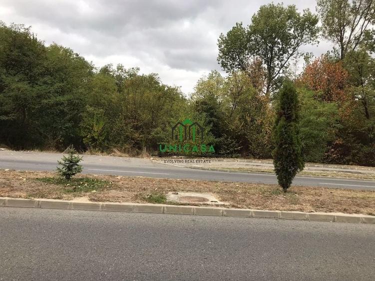 Teren Dem Radulescu / 1731mp - 2