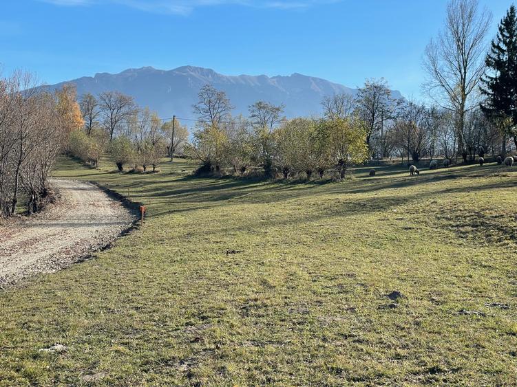 Teren intravilan loturi intre 500 si 1000 m, la 5 km de Moieciu - 1