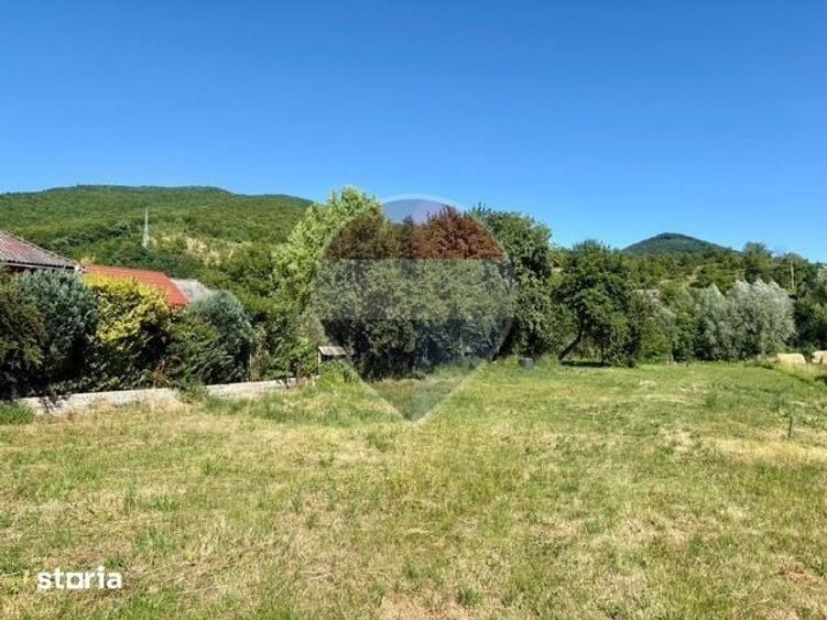 Teren de 3154 mp, în Bârsana