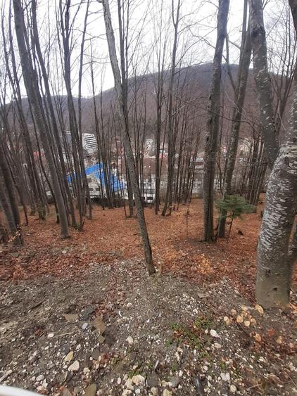 Teren intravilan 879 mp - 2