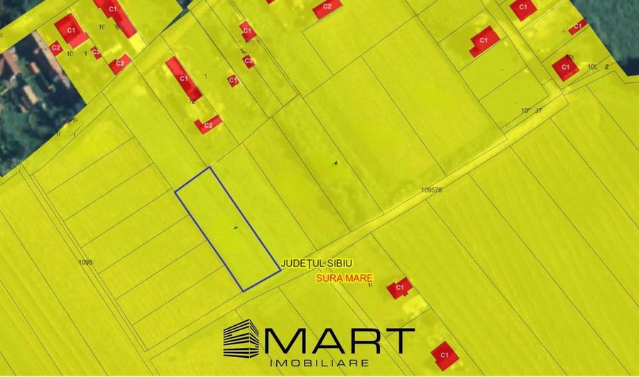 Teren extravilan 1000mp Sura Mare - 3