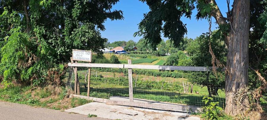 Teren intravilan 2.370 mp, Hlapesti, Jud. Neamt, utilitati la poarta. - 6