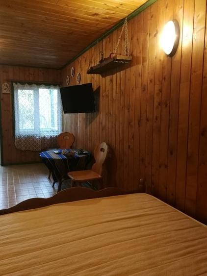 vanzare pensiune, centrala proprie pe lemne/carbuniproprie pe lemne/carbuni - 11