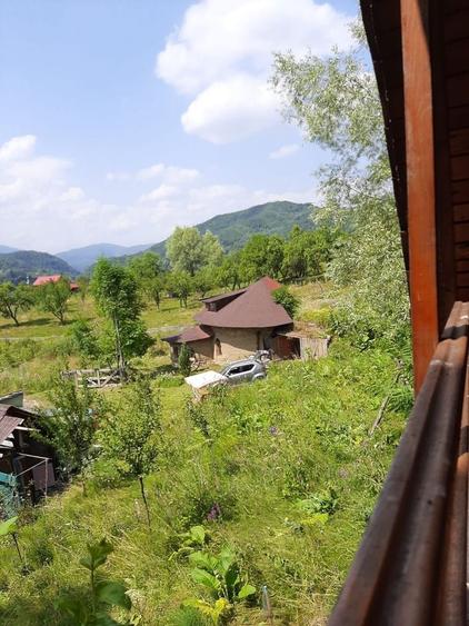 Proprietate pe Valea Vâlsanului – Cabane din lemn + Casă ecologică COB - 5