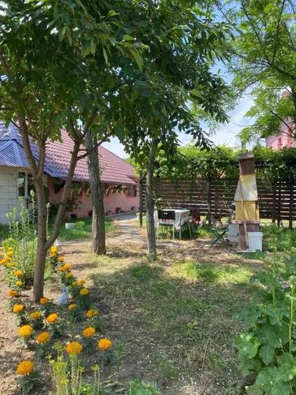 Case Parvu Ro?u - Coste?ti la 13 km de Pite?ti - 4