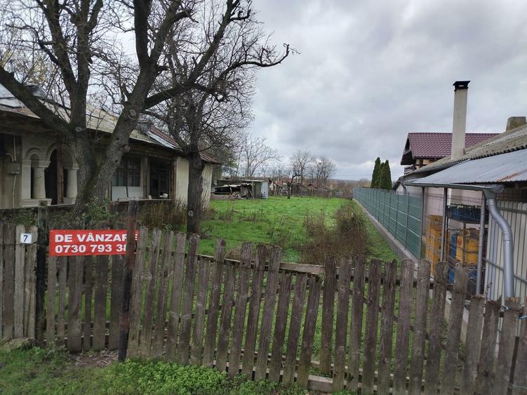 Vand teren intravilan 1000 ,pregatit pentru vanzare . - 5