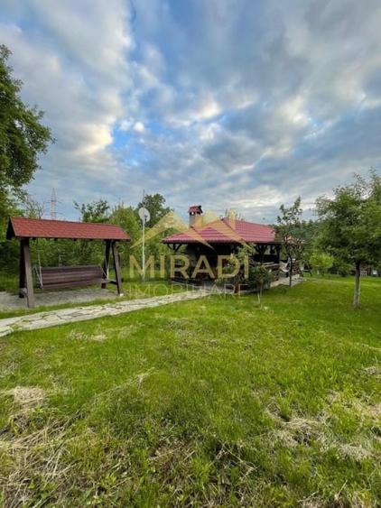 Vanzari Case / vile - 7