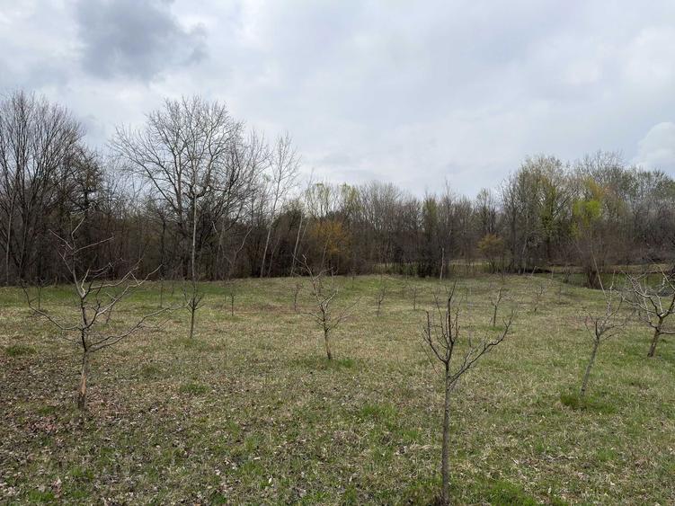 Teren / gradina de vanzare in Barbuletu, judetul Dambovita 8055 mp - 2