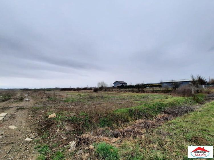 Teren intravilan 12216 mp in Vetis construibil - 2