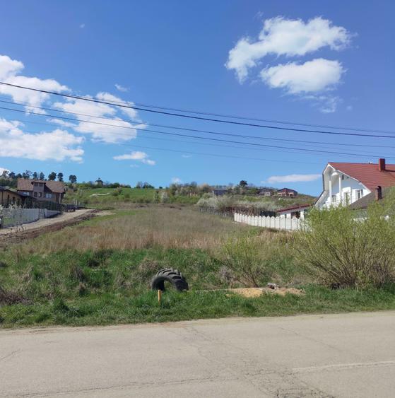 Teren de vanzare - 4