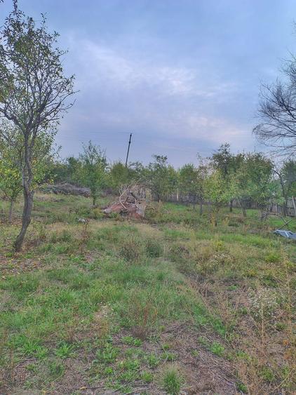 Unic proprietar vand teren intravilan+casa+anexa +teren extravil - 1