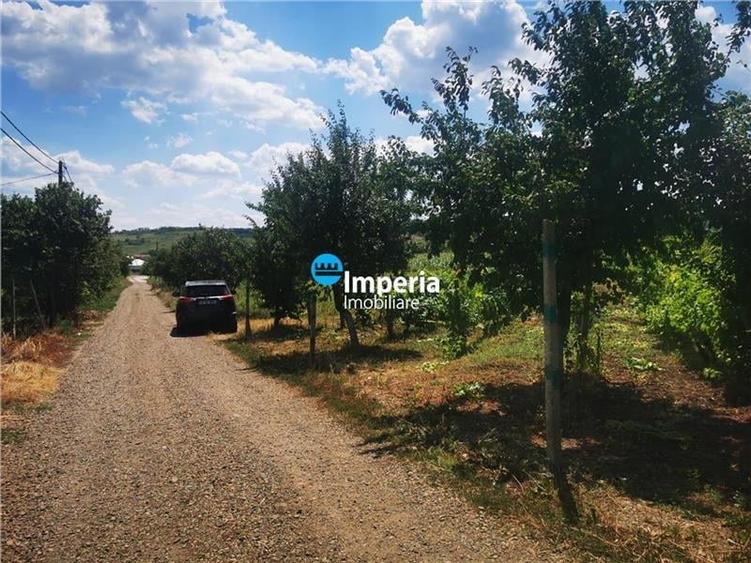 Teren intravilan de vanzare in Iasi, zona Tomesti Chicerea! - 2