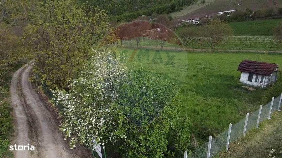 Spațiu comercial, în Dezmir
