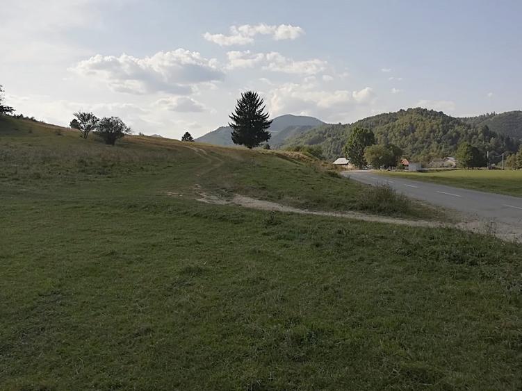 Teren intravilan de 4880 mp, în Plaiul Foii