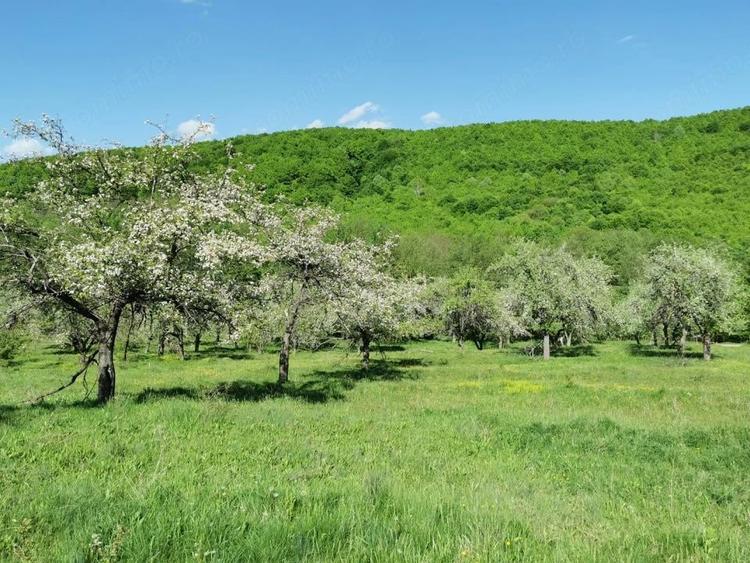 Teren de 680 mp, în Budeasa
