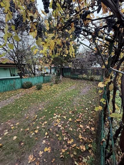 Spațiu comercial, în Tunari