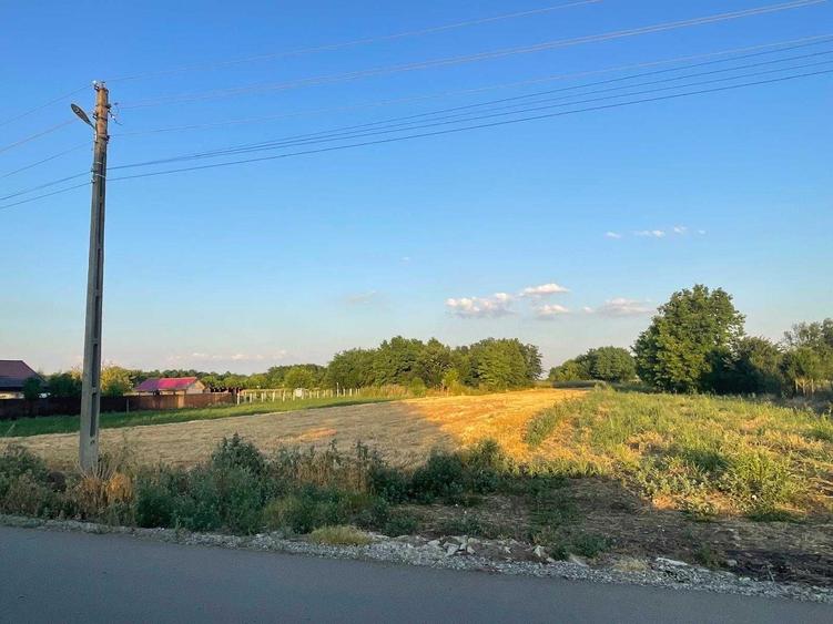 Spațiu comercial, în Roșiori