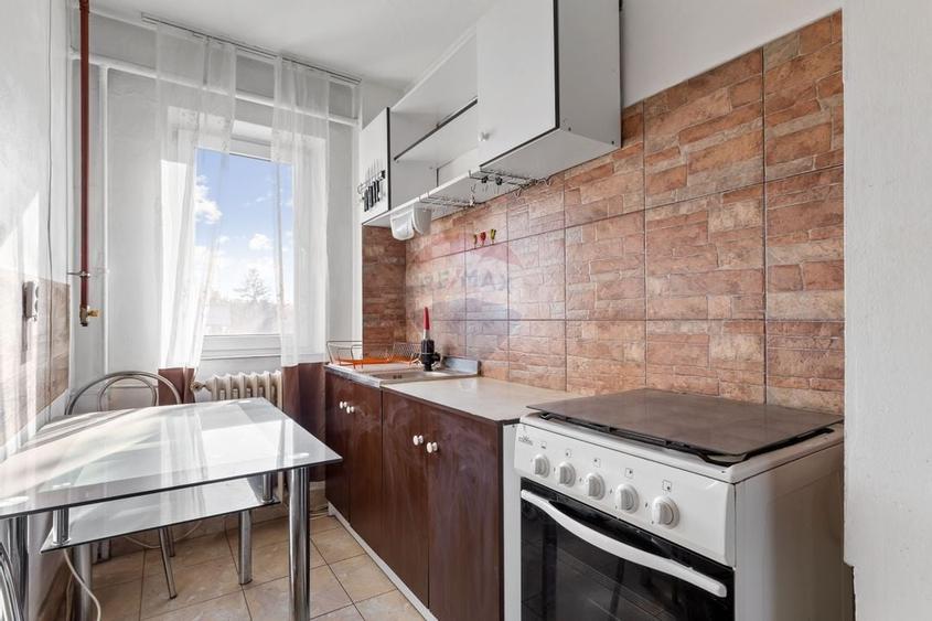 Apartament cu 3 camere de inchiriat- zona Vlaicu - 8