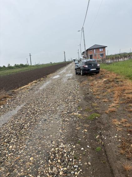 Vand Teren Bradu - 3