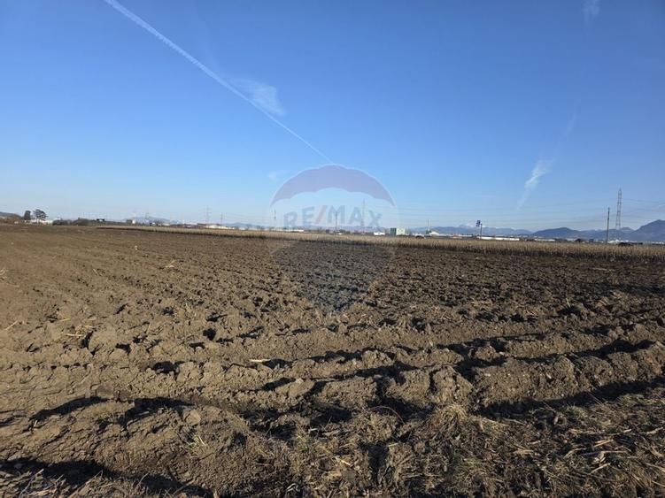 Teren intravilan, 5000 mp, Stupini, str Pomiculturii - 12