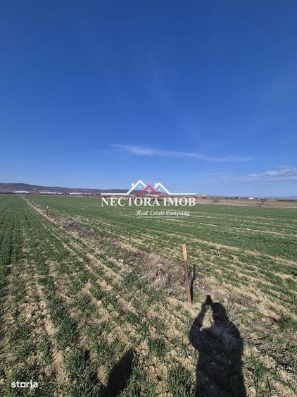 NECTORA IMOB-Teren Intravilan 537 mp, Zona Solay, 250 m de asfalt - 2