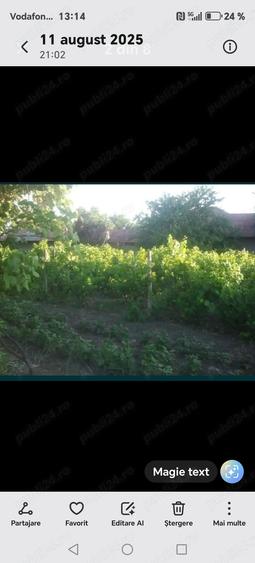 Vand casa in Urziceni cu 3 camere 100mp,teren 930 mp,sau schimb cu apartament in Bucuresti - 7