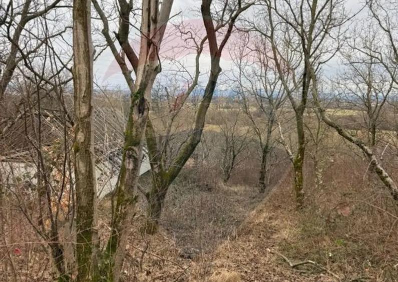 DE VANZARE Teren Strada Victoriei Baia Mare - 15