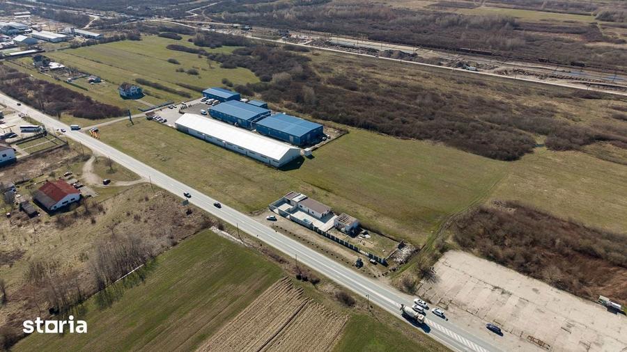Teren extravilan de 7.000 mp langa Paltini? - 12