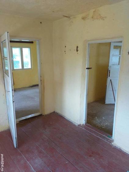 Casa in Ardeoani plus doua hectare de padure - 3