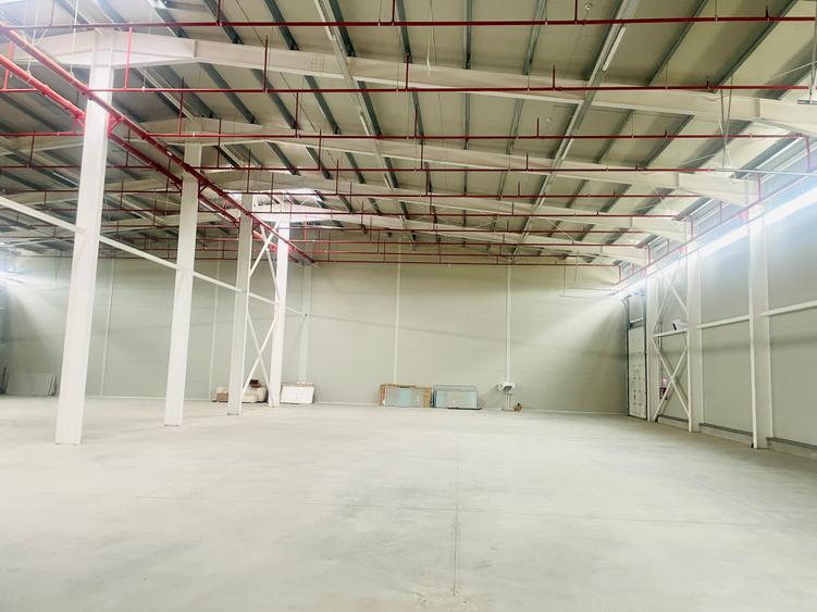 Hala - Drumul Intre Tarlale - Noua - Aviz ISU - 3