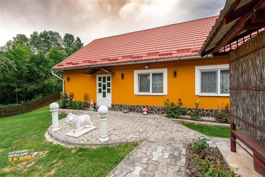 FILM&3D! Doua case cu:piscina,foisor,arbori decorativi,1.700mp teren,Lutoasa,Cov - 44