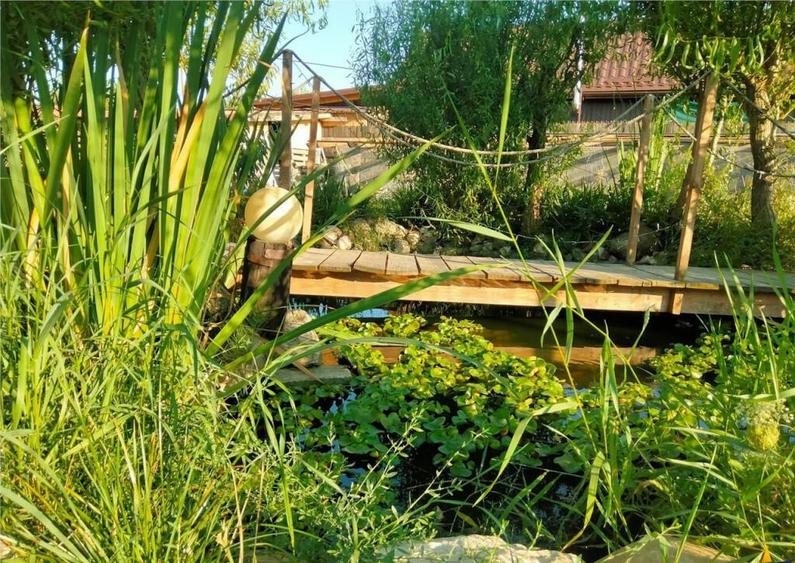 FILM3D!Cabana cu autenticitate, mobilata,utilata,teren700mp, - 7