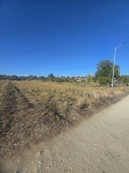 Teren 1000mp ,la intrarea in Filiasi - 1