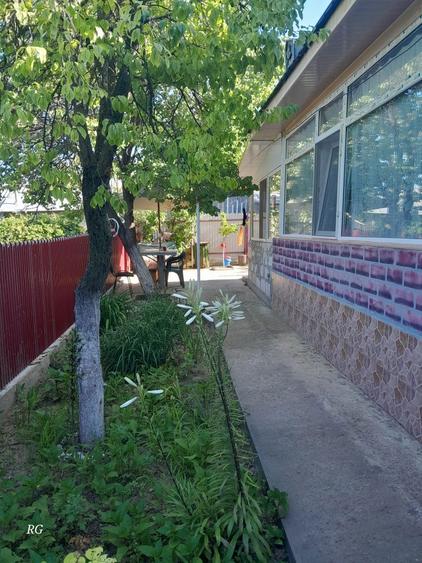 Casa de vanzare sat Vlascuta, comuna Mastacani, jud. Galati - 8